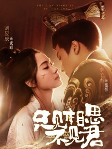 只见相思不见君 全集(大结局)