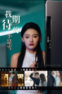 我期待的不是雪 全集(大结局)