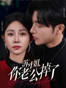 苏小姐你老公掉了(全集)