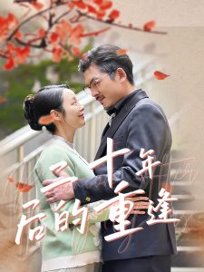 二十年后的重逢 全集(大结局)