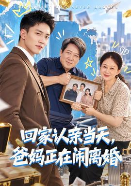 回家认亲当天，爸妈正在闹离婚(全集)